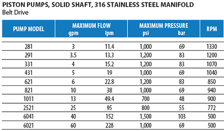 Stainless Steel Piston Pumps
